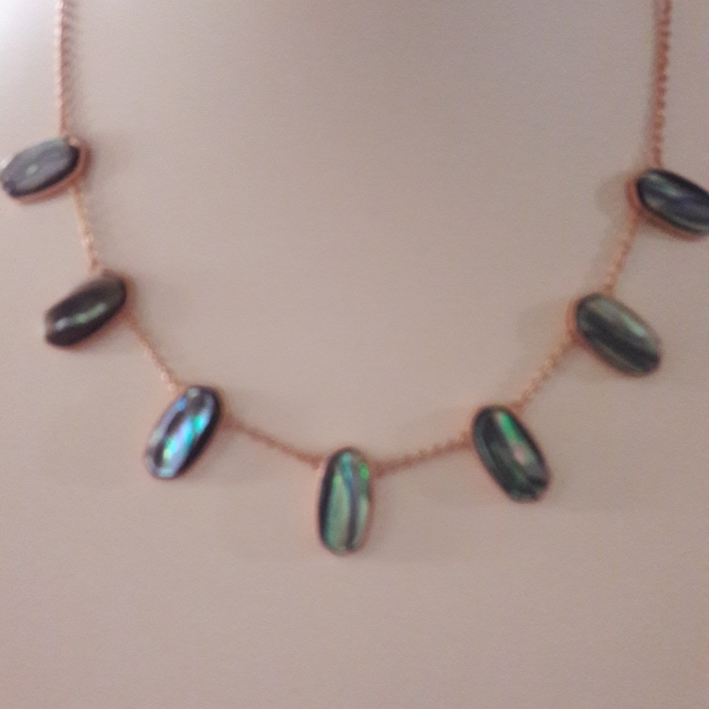 Meadow Rose Gold  Abalone Shell  Necklace
